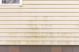House siding with signs of mold growth.